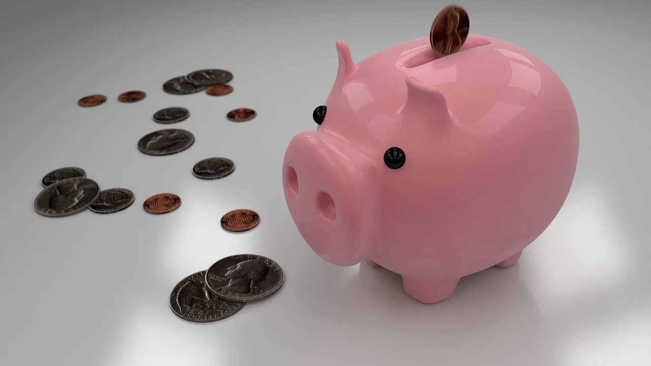 Money Coins Budget