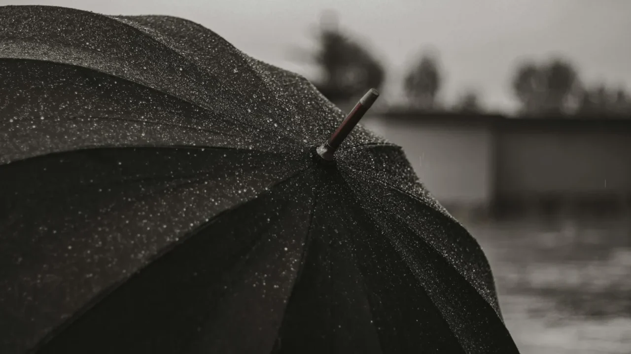 Wedding Umbrella Weather Protection